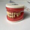 Manequim de Perio/Cirurgia Odontológico